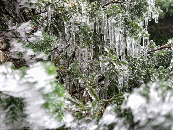 Hình ảnh băng tuyết trên đỉnh Mẫu Sơn ngày cuối năm liên tục được dân mạng chia sẻ, cập nhật  - Ảnh 4.