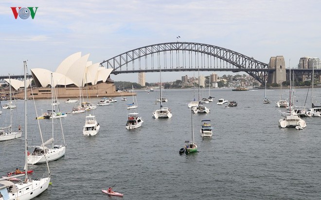 Sydney: Hàng trăm ngàn người xếp hàng lấy chỗ xem pháo hoa năm mới - Ảnh 7.