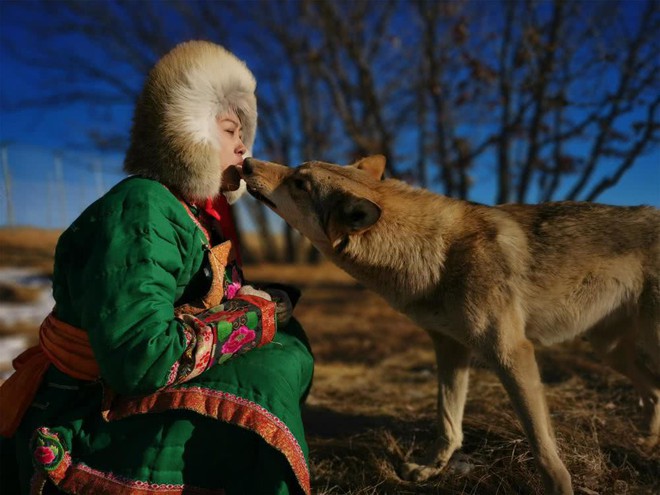 Cô gái Mông Cổ với dàn thú cưng độc 8 con sói, 3 bạn trai đều đòi chia tay vì sợ cãi nàng sẽ bị ăn thịt - Ảnh 2.