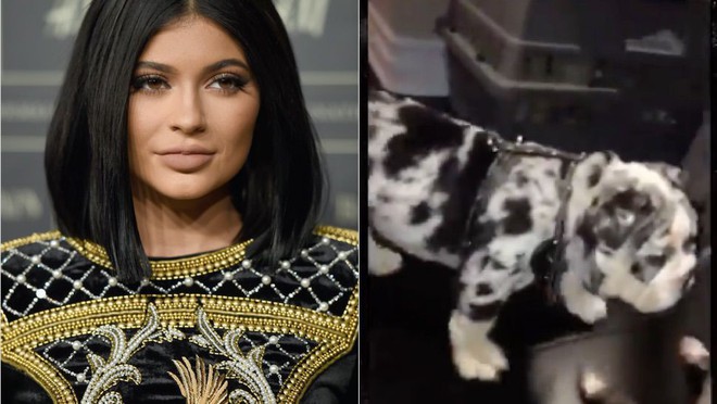 21 tuổi đã kiếm hàng ngàn tỷ đồng một năm, Kylie Jenner có cuộc sống sang chảnh và tài sản đáng ghen tị đến mức nào? - Ảnh 18.