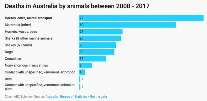 Nước Úc ngập tràn quái vật khổng lồ, nhưng con gì giết người nhiều nhất? - Ảnh 8.