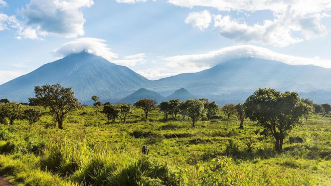 Ghé thăm khu vườn tuyệt diệu và nguy hiểm bậc nhất châu Phi: Virunga - Ảnh 2.