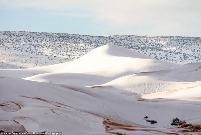 Tuyết phủ trắng nhiều vùng sa mạc Sahara lần thứ 3 trong 40 năm, có nơi dày 40cm khiến người dân kinh ngạc - Ảnh 1.
