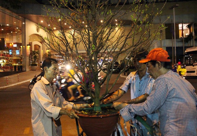 Sát tết hoa còn tồn nhiều, chủ vựa ở Sài Gòn treo biển than thở sao vào chụp hình hoài vậy - Ảnh 3.