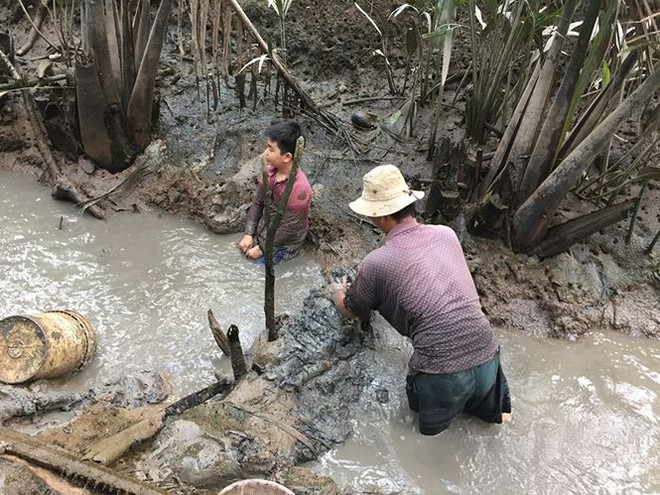 Người miền Tây khai mương bắt tôm đón Tết - Ảnh 1.