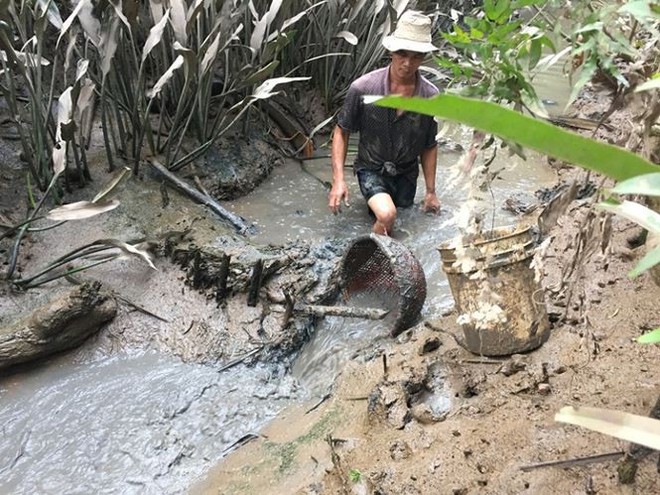 Người miền Tây khai mương bắt tôm đón Tết - Ảnh 2.