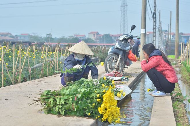 Làng hoa Tây Tựu hối hả bung hàng Tết - Ảnh 9.