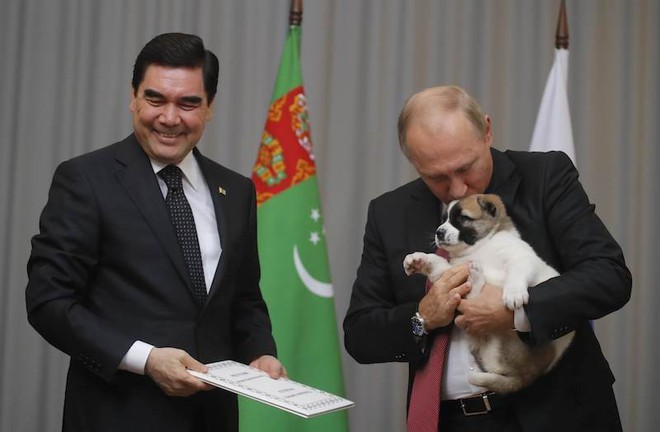 Tiết lộ bí mật thú vị về những chú chó của Tổng thống Nga Putin - Ảnh 2.