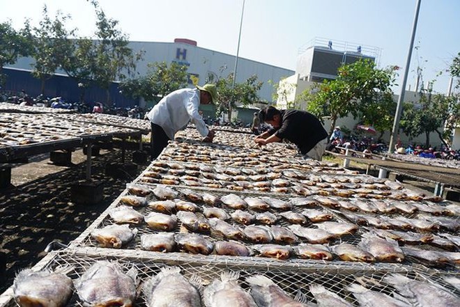 Chợ thủy hải sản khô lớn nhất Sài Gòn tất bật ngày cận Tết - Ảnh 17.