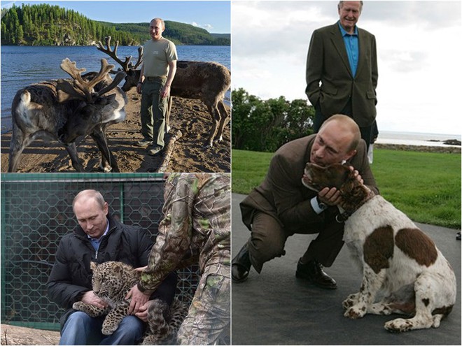 Tiết lộ bí mật thú vị về những chú chó của Tổng thống Nga Putin - Ảnh 6.