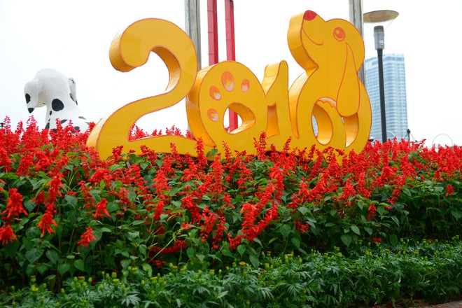 Đường phố Đà Nẵng lung linh sắc hoa chào năm mới - Ảnh 2.