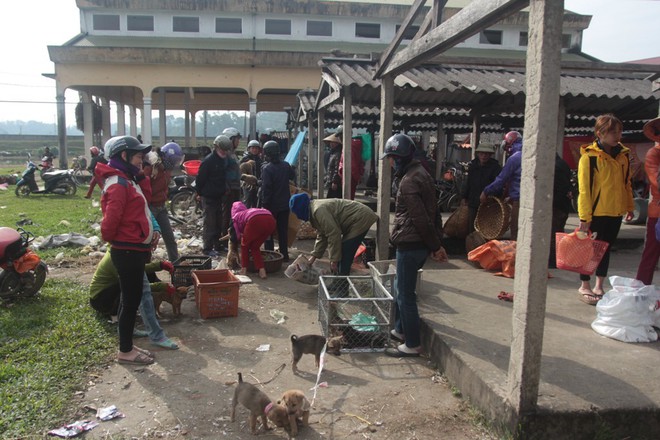 Thích thú đến chợ chó con ở Nghệ An vào ngày 29 Tết - Ảnh 2.