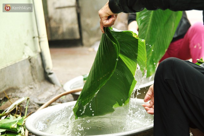 Chùm ảnh: Làng bánh chưng Tranh Khúc tất bật những ngày giáp Tết truyền thống - Ảnh 4.