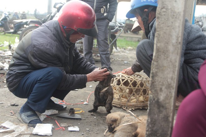 Thích thú đến chợ chó con ở Nghệ An vào ngày 29 Tết - Ảnh 8.