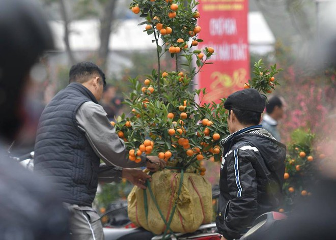 Chợ hoa ngày vẫn tấp nập lúc giữa trưa ngày cuối cùng của năm - Ảnh 3.