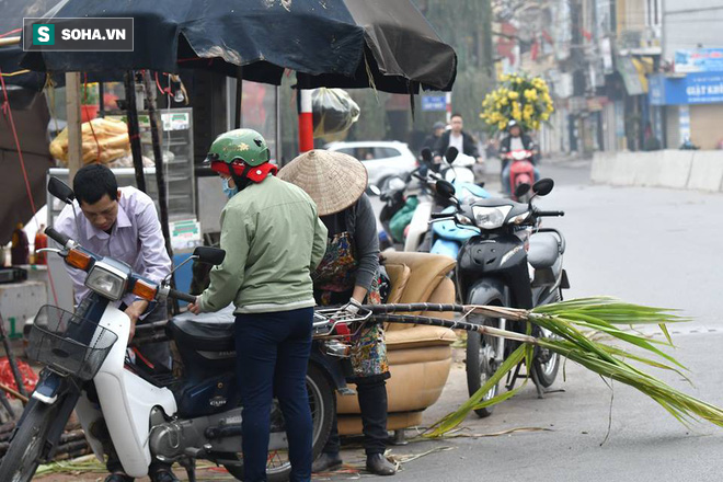 Giá 1 cặp mía bằng giá cây đào, cây quất - Ảnh 12.