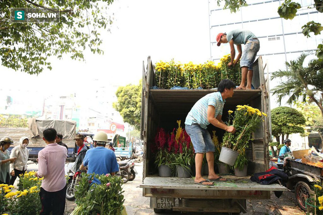 Không bán hết hàng trưa 30 Tết, tiểu thương dùng gậy đập nát chậu hoa, vứt vào thùng rác - Ảnh 5.