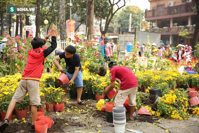 Không bán hết hàng trưa 30 Tết, tiểu thương dùng gậy đập nát chậu hoa, vứt vào thùng rác - Ảnh 9.