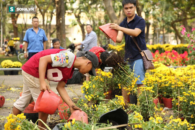 Không bán hết hàng trưa 30 Tết, tiểu thương dùng gậy đập nát chậu hoa, vứt vào thùng rác - Ảnh 11.