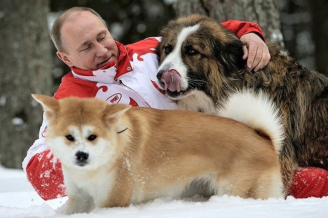 Ảnh: Niềm đam mê chó bất tận của Tổng thống Nga Putin - Ảnh 1.