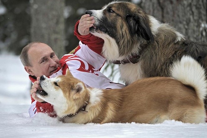 Ảnh: Niềm đam mê chó bất tận của Tổng thống Nga Putin - Ảnh 2.