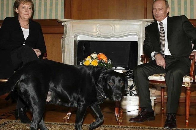 Ảnh: Niềm đam mê chó bất tận của Tổng thống Nga Putin - Ảnh 4.