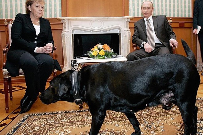 Ảnh: Niềm đam mê chó bất tận của Tổng thống Nga Putin - Ảnh 5.