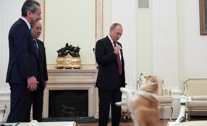 Ảnh: Niềm đam mê chó bất tận của Tổng thống Nga Putin - Ảnh 8.