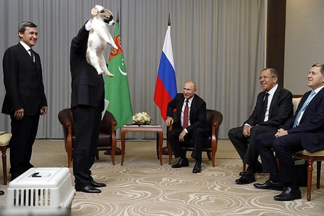 Ảnh: Niềm đam mê chó bất tận của Tổng thống Nga Putin - Ảnh 10.