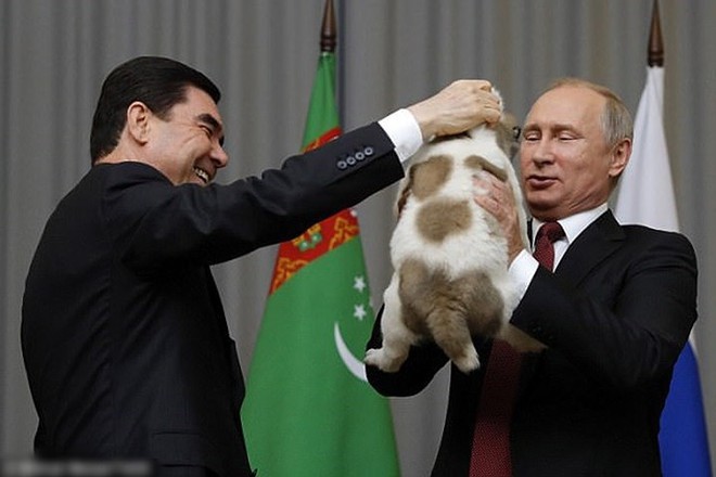 Ảnh: Niềm đam mê chó bất tận của Tổng thống Nga Putin - Ảnh 11.