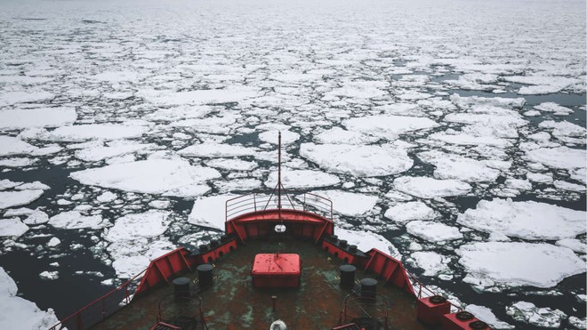 Lần đầu tiên con người làm được chuyện này ở biển Bắc Cực, và nó cho thấy một hiện thực đáng ngại - Ảnh 2.