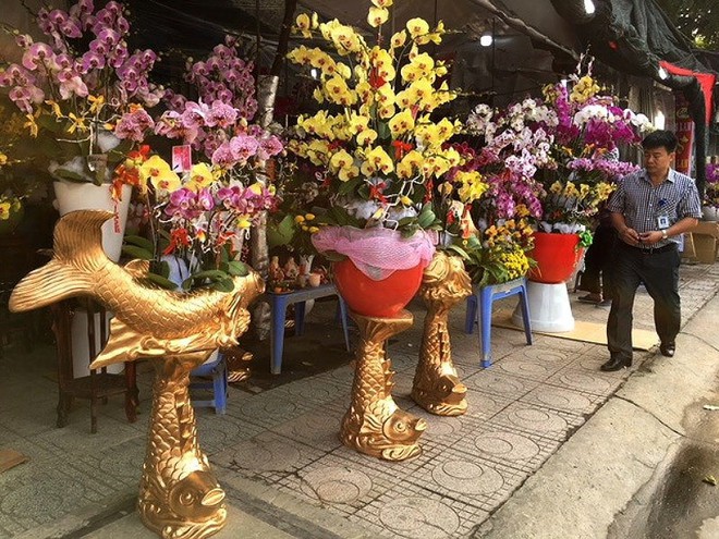 Người Việt chi 18 triệu USD mua hoa ngoại ngắm Tết - Ảnh 1.