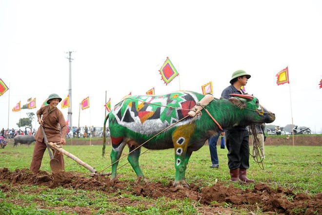 10 con trâu được họa sĩ vẽ sặc sỡ tham gia lễ hội Tịch điền - Ảnh 8.