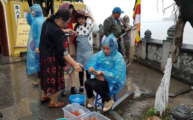 Rùa, cá vừa phóng sinh bị vợt ngay trước mắt tại chùa Trấn Quốc - Ảnh 16.