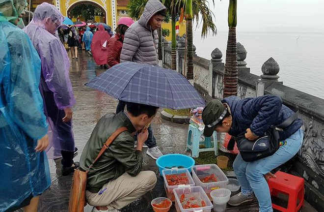 Rùa, cá vừa phóng sinh bị vợt ngay trước mắt tại chùa Trấn Quốc - Ảnh 10.