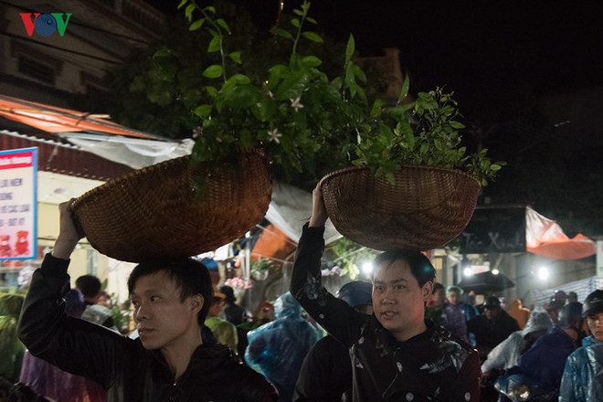 Đội cây lên đầu thoát cảnh nghìn người chen nhau đi chợ Viềng giữa đêm - Ảnh 14.