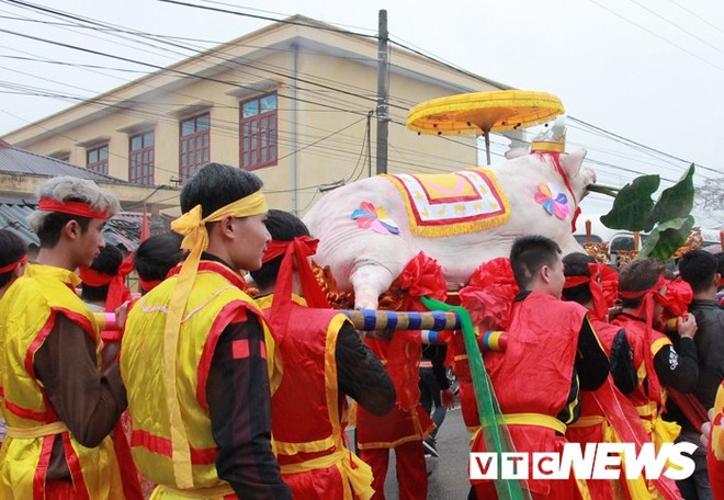 Ảnh: Lễ hội rước cá Sủ vàng độc đáo của ngư dân Hải Phòng - Ảnh 7.