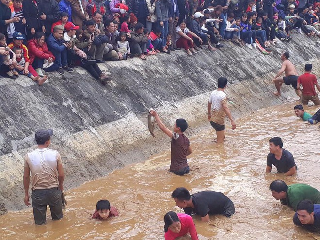 Gần nửa tấn cá đổ xuống hồ, hàng trăm người tranh nhau bắt, nhét đầy túi quần - Ảnh 3.