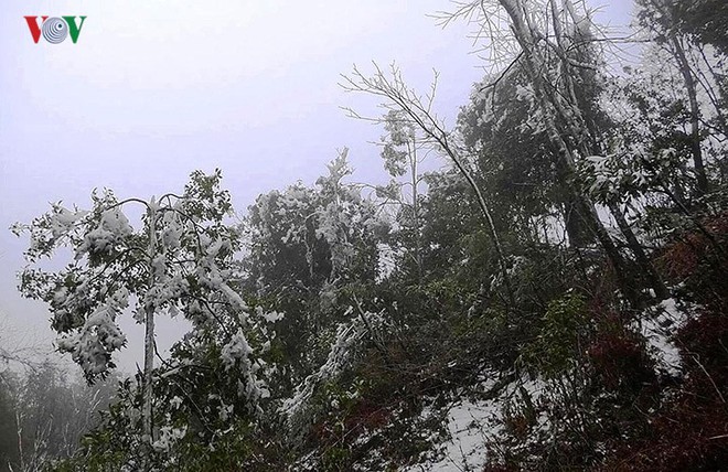 Cận cảnh băng tuyết phủ trắng núi rừng Mù Cang Chải - Ảnh 3.
