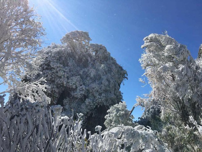 Năm 2018: Sapa lạnh kỷ lục trong vòng 2 năm, Mẫu Sơn tuyết dày đặc! - Ảnh 8.