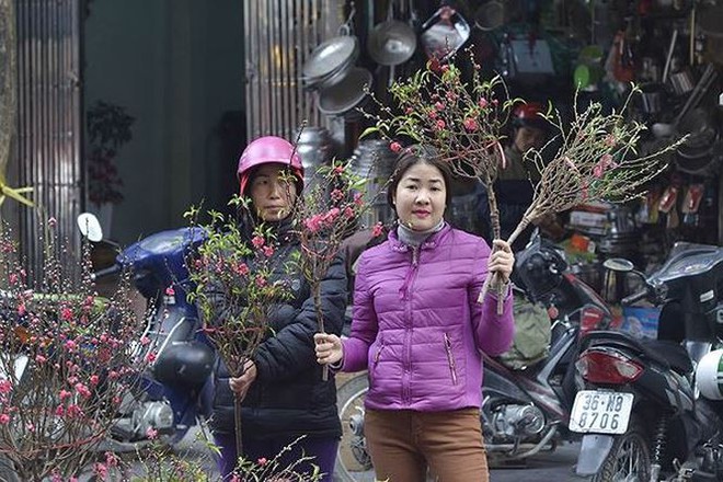 Nhộn nhịp chợ hoa Hàng Lược trước Tết Nguyên đán - Ảnh 1.