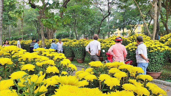 Hoa Tết giá cao ngất ngưởng, khách đủng đỉnh đi ngắm - Ảnh 1.