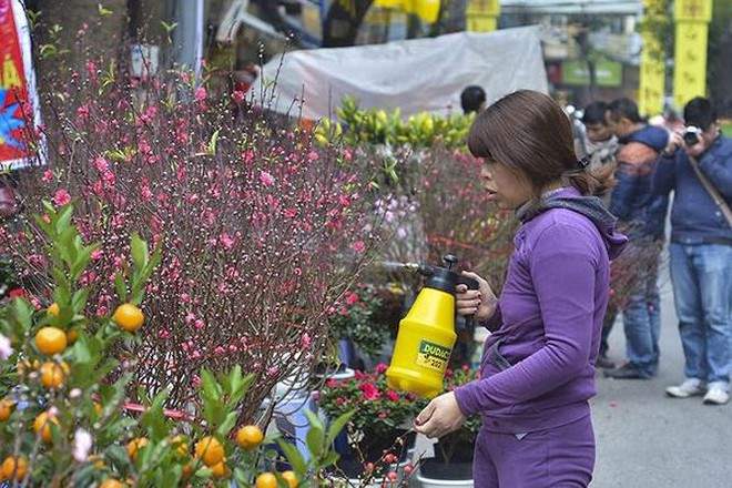 Nhộn nhịp chợ hoa Hàng Lược trước Tết Nguyên đán - Ảnh 11.