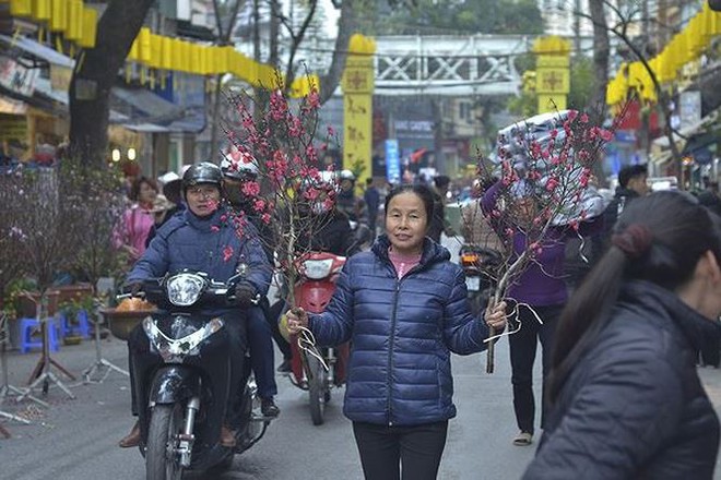 Nhộn nhịp chợ hoa Hàng Lược trước Tết Nguyên đán - Ảnh 12.