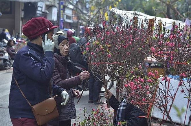 Nhộn nhịp chợ hoa Hàng Lược trước Tết Nguyên đán - Ảnh 8.