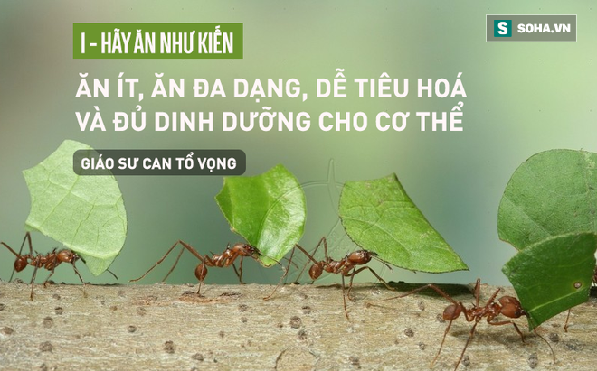 Danh y bậc thầy 103 tuổi: Bí quyết sống thọ chỉ gói gọn trong 3 việc đơn giản dễ áp dụng - Ảnh 1.