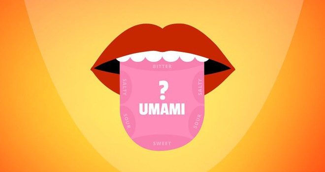 Ai cũng bàn về Umami - hương vị bí ẩn số 5 trong ẩm thực, nhưng nó là gì? - Ảnh 1.