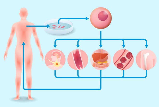 10 công nghệ có thể thay đổi thế giới - Ảnh 5.