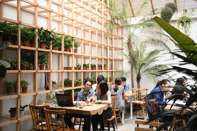 Cận cảnh quán cà phê Hà Nội được báo Mỹ ca ngợi như Rừng Nhiệt đới trong lòng thành phố - Ảnh 3.