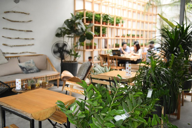 Cận cảnh quán cà phê Hà Nội được báo Mỹ ca ngợi như Rừng Nhiệt đới trong lòng thành phố - Ảnh 5.